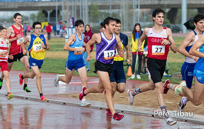 Resultats II Tetratl