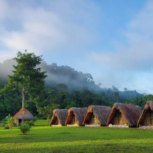 Reserve a Regular Baffa