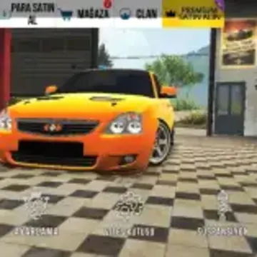 arasvarol6674