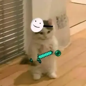 kedicik