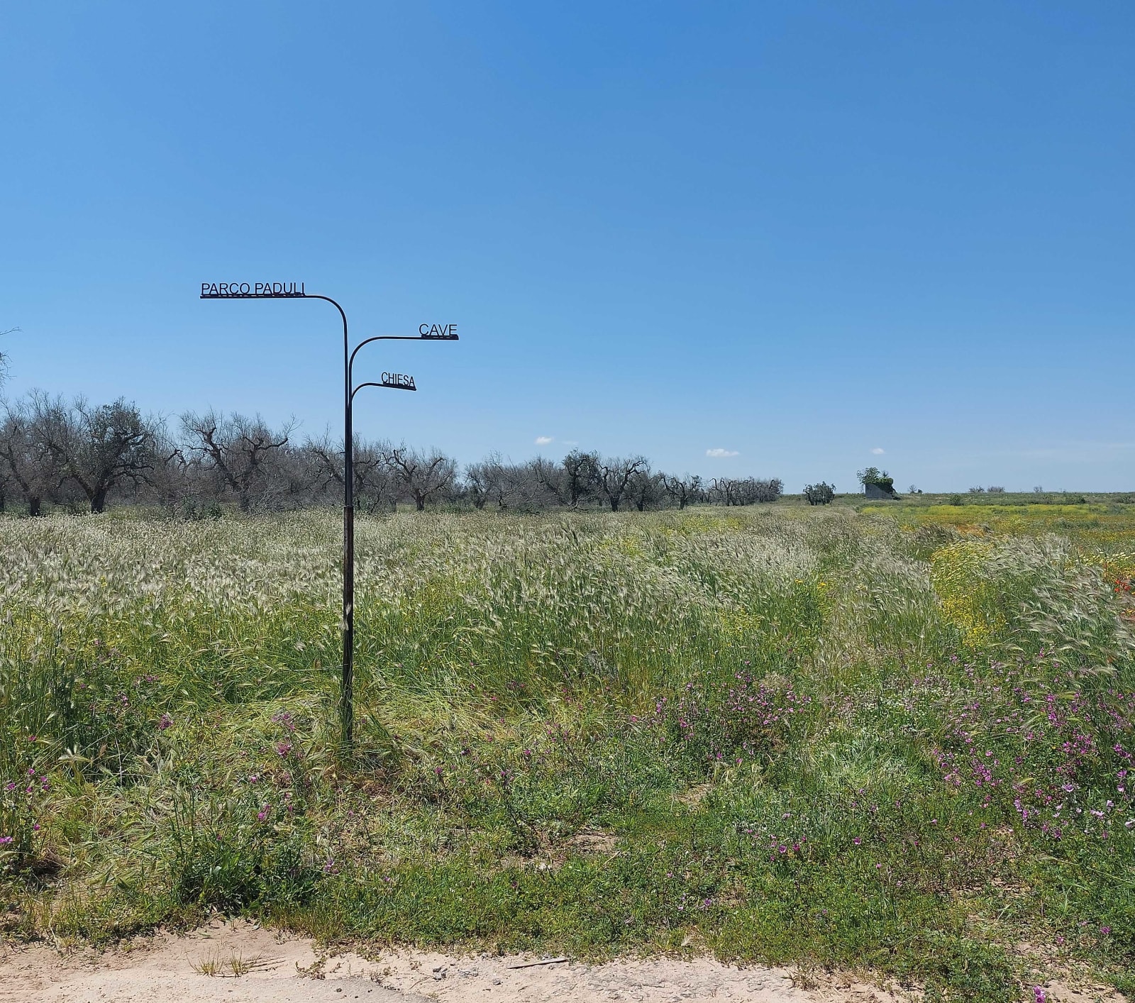 PROGETTO DI DUE ITINERARI DI FRUIZIONE E VALORIZZAZIONE DEI BENI RURALI