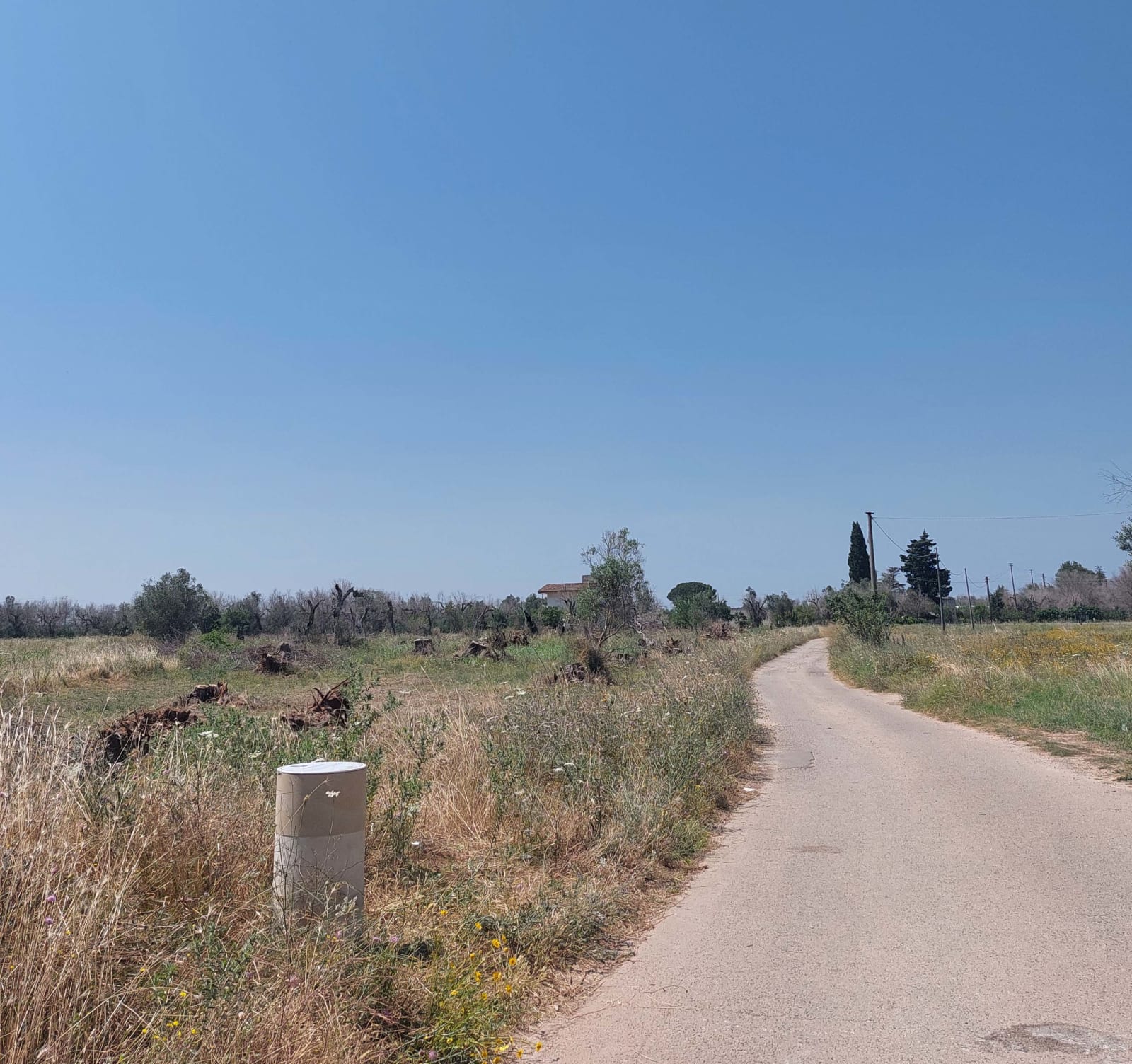 PROGETTO DI DUE ITINERARI DI FRUIZIONE E VALORIZZAZIONE DEI BENI RURALI