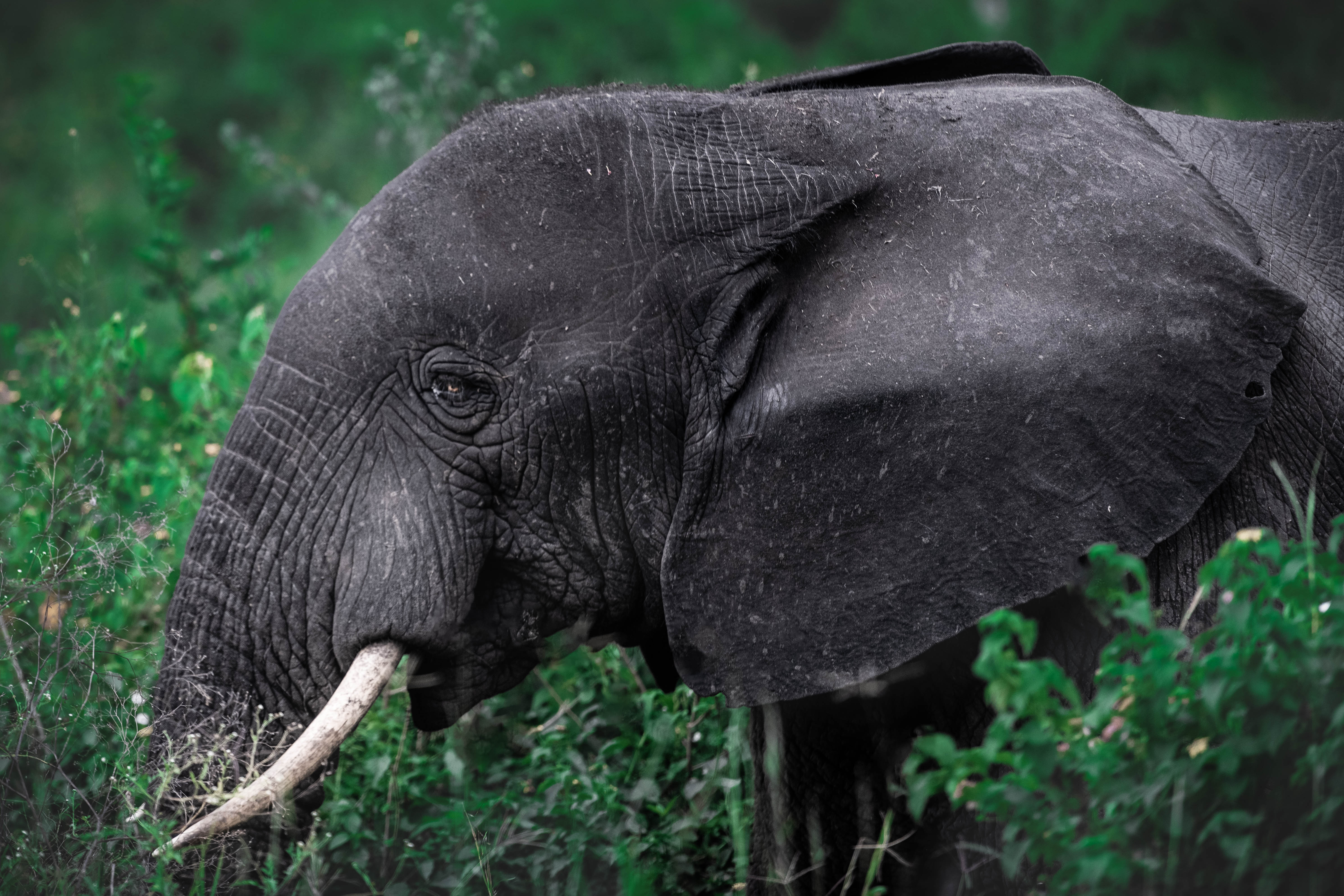 The Quiet Earth — Fine Art Print — VSoul Photos