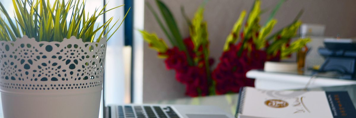 Accessibility Policy