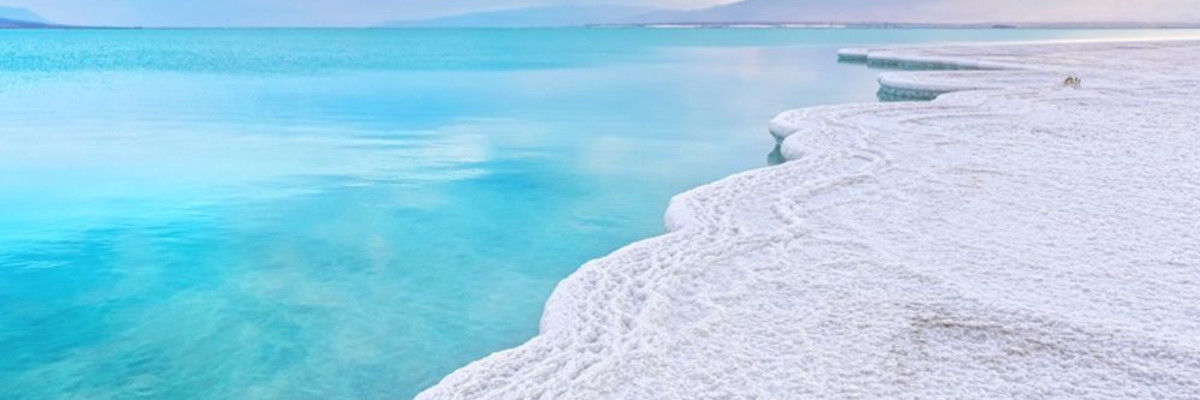 Дорогие друзья!