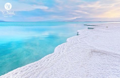 Дорогие друзья!