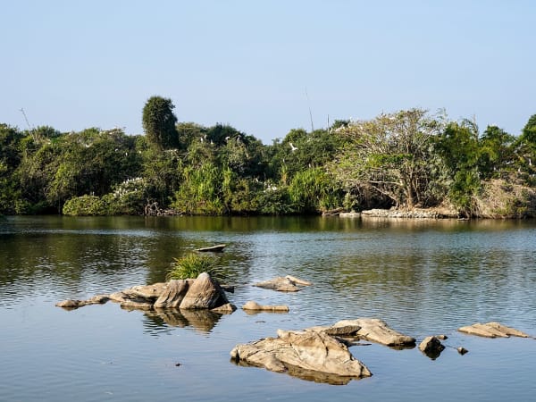 Kaveri River Urban Wetland Revival