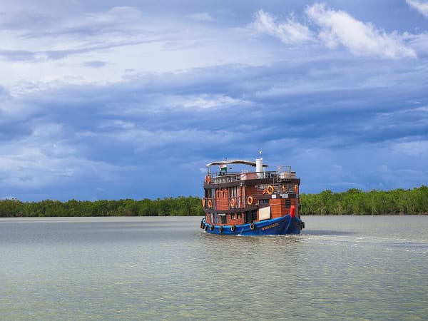 Sundarbans Mangrove Delta Reforestation