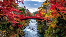 Nikko Private Tour By Car With Pick Up