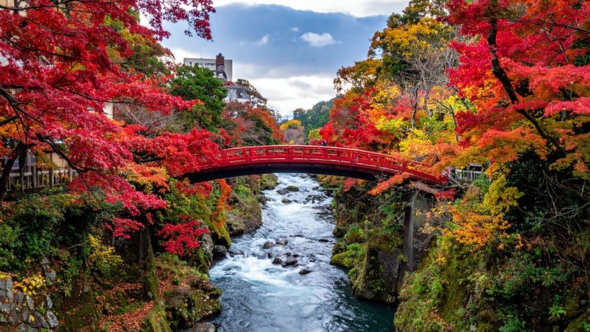 Nikko Private Tour By Car With Pick Up
