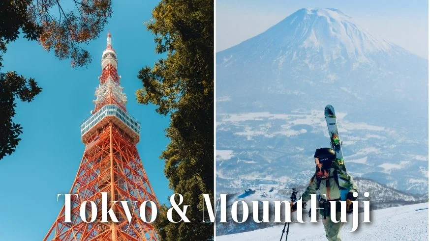 2 Day Tokyo & Mount Fuji Private Tour by Car with Hotel Pick-Up