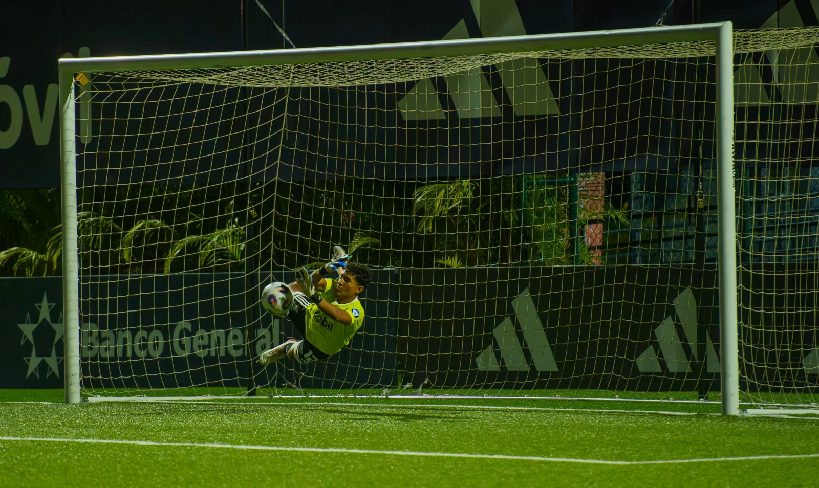 Raul Moreno