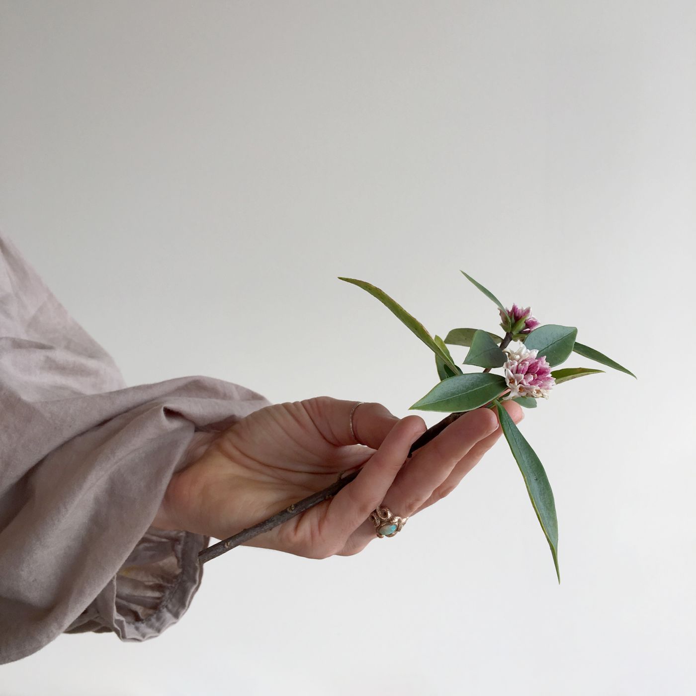 A hand holding a flower