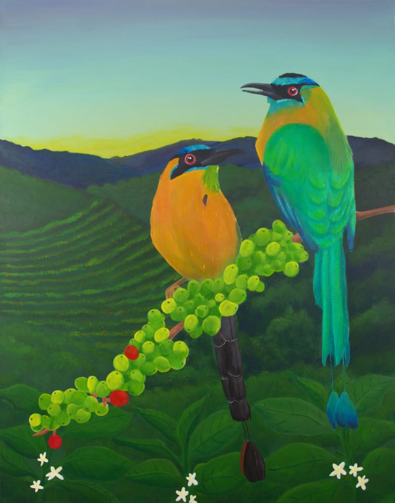 Amanecer en la Cosecha