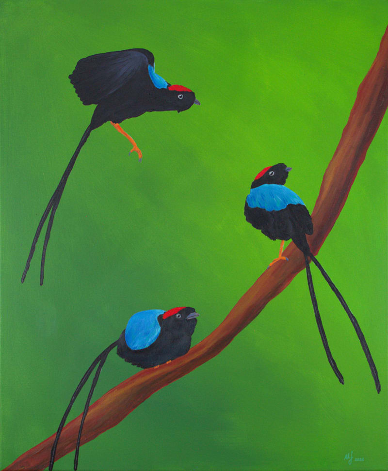 La Danza de los Toledos