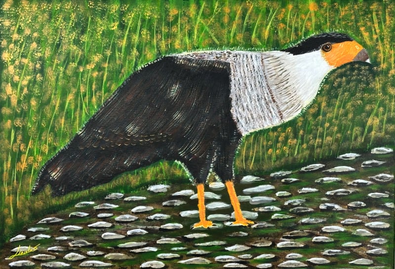 Sendero del Caracara