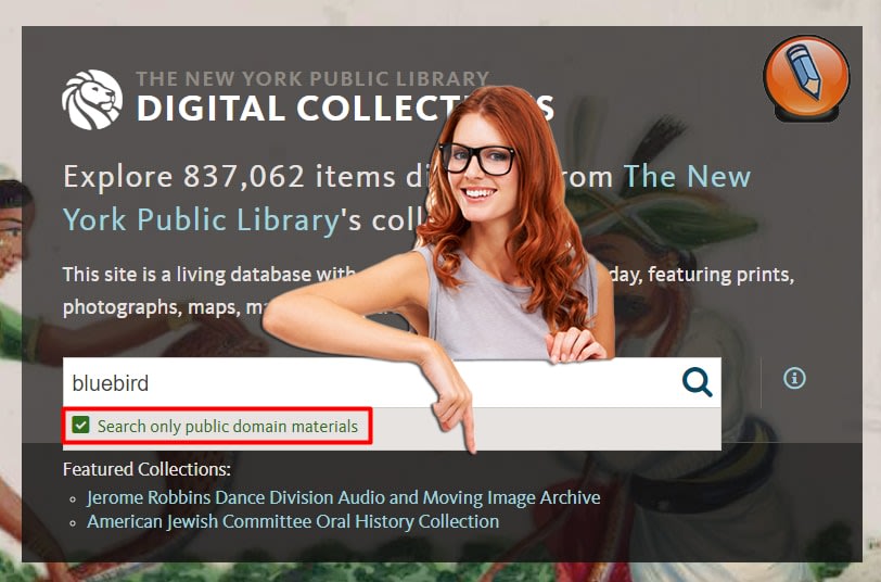 nypl digital collections public domain image search