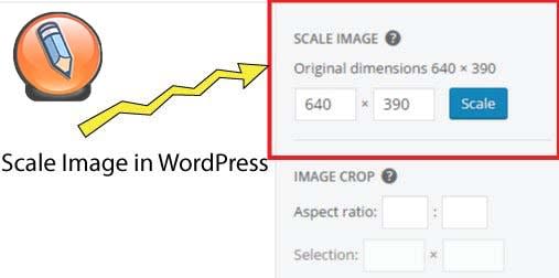 картинка WordPress параметры масштабирования
