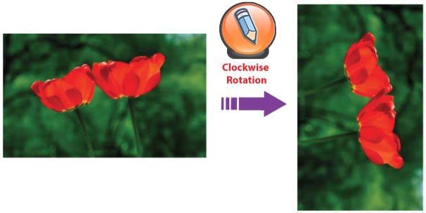 против часовой стрелки