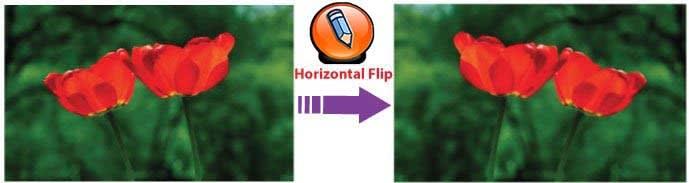 картинка WordPress горизонтально