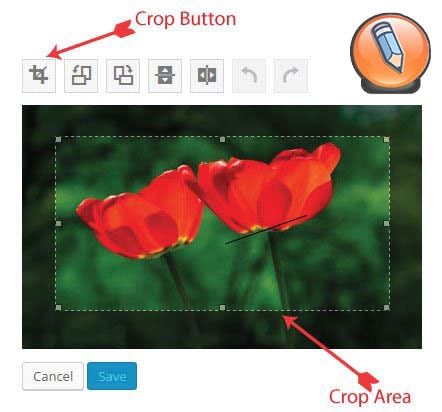 картинка WordPress обрезать