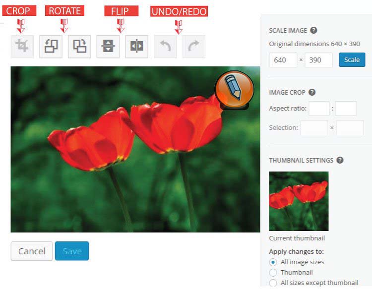 картинка WordPress функции поворота