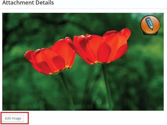 картинка WordPress для редактирования