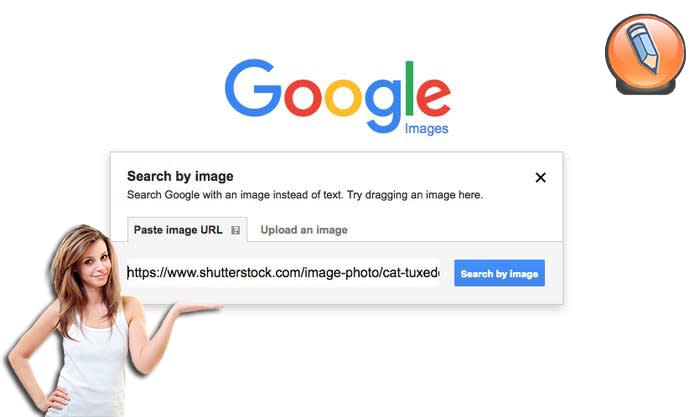 скопировать URL