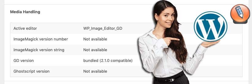WordPress Site Health Tool_04