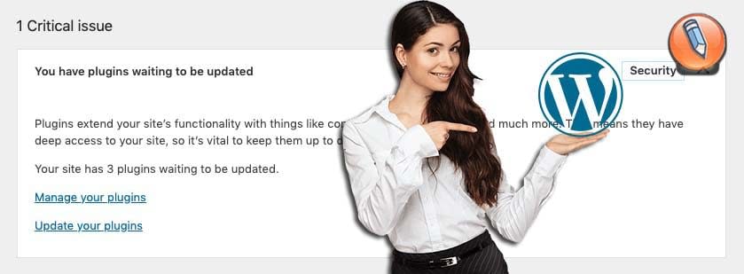 WordPress Site Health Tool_03