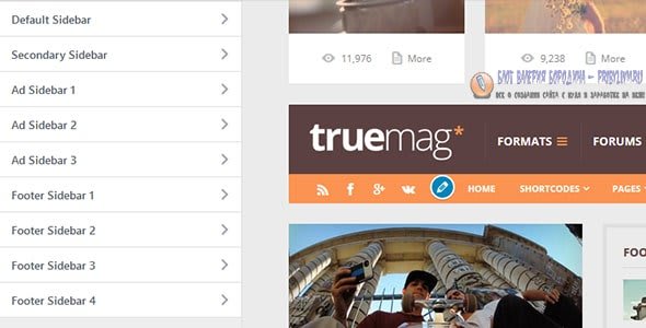 Truemag ad sidebar