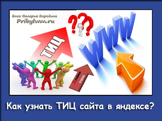 узнать тиц сайта