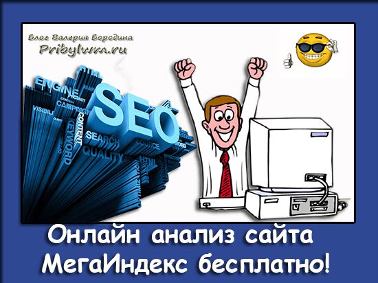 анализ сайта мегаиндекс