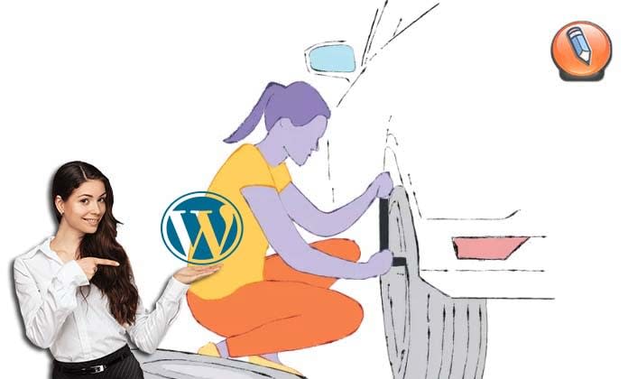 WordPress Site Health Tool_01