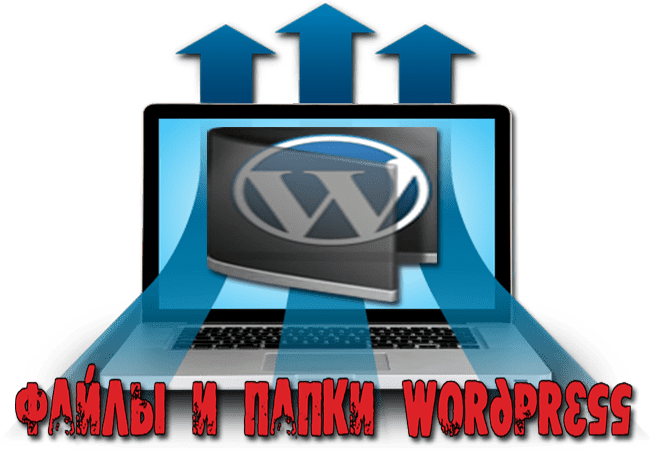 спойлер wordpress