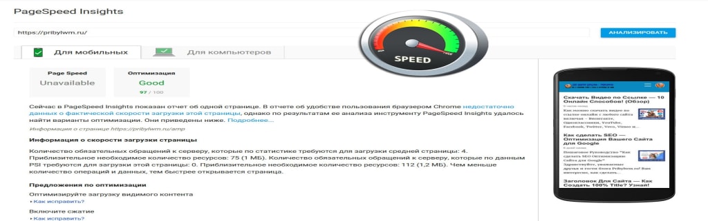 PageSpeed ​​Insights
