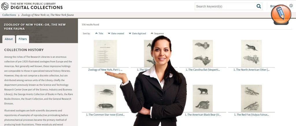 nypl digital collections zoology of new york