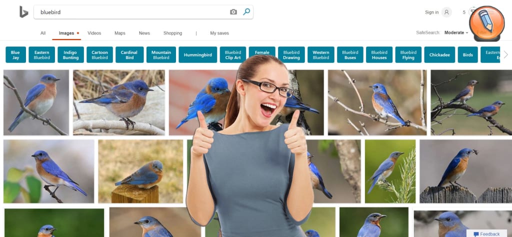 bing image search