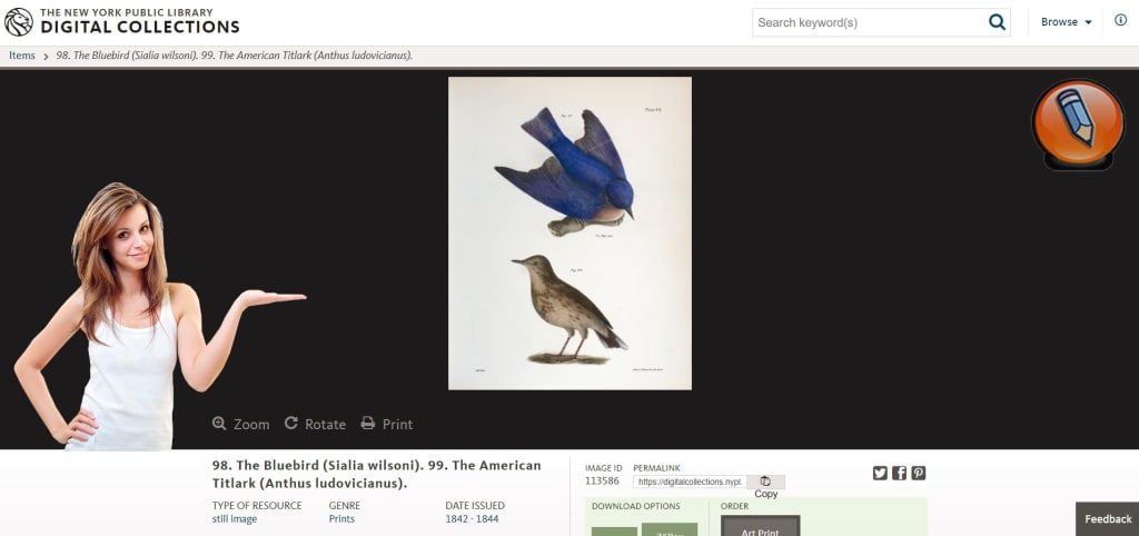 nypl digital collections image result