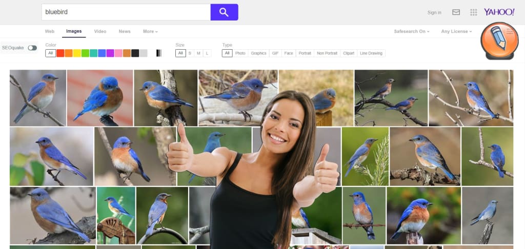 iskat po foto na yahoo image search