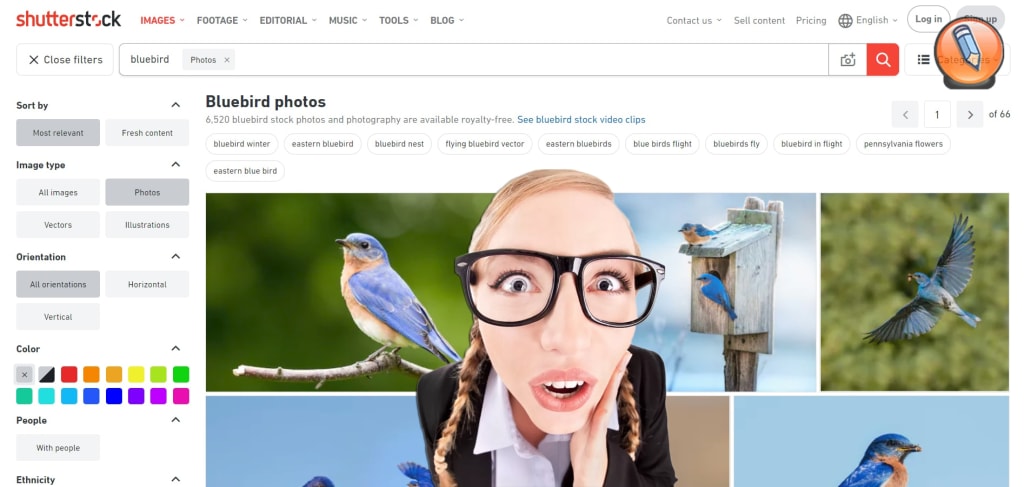 iskat po foto na shutterstock