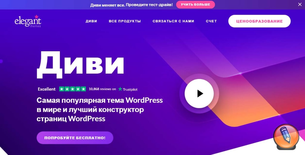 конструктор тем wordpress divi