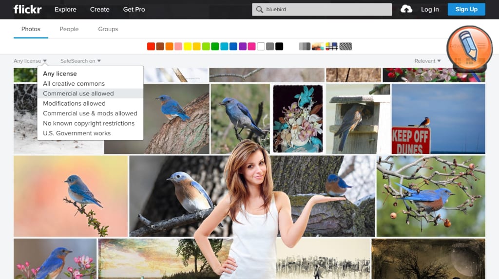 flickr use license filter