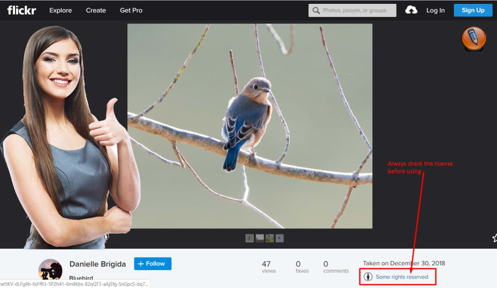 flickr photo license