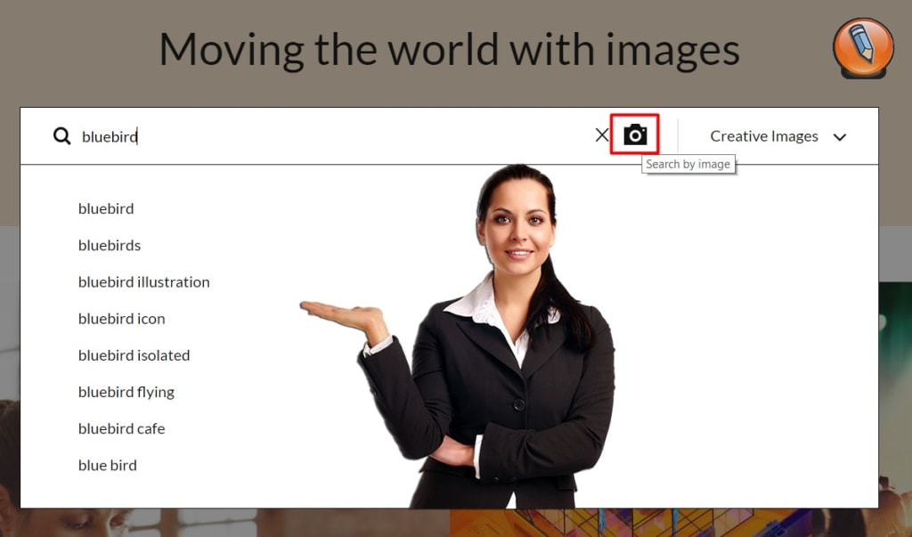 getty images search options