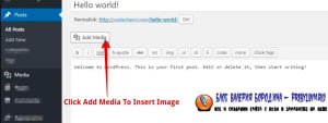 How to fix common image issues in WordPress Add Image To Blog Post1