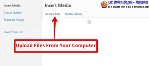 How to fix common image issues in WordPress Adding Images to blog post 3