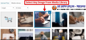 How to fix common image issues in WordPress adding alt text description and other details