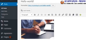 How to fix common image issues in WordPress Adding images to blog post 6
