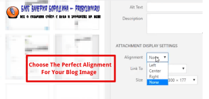 How to fix common image issues in WordPress choose perfect alignment for your blog post